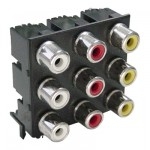 AV9-31 - 