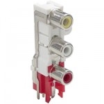 AV3-19 - 